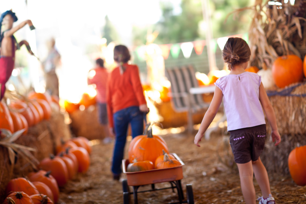Cute Little Girls Pulling Their Pumpkins In A Wagon At A Pumpkin Patch One Fall Day.