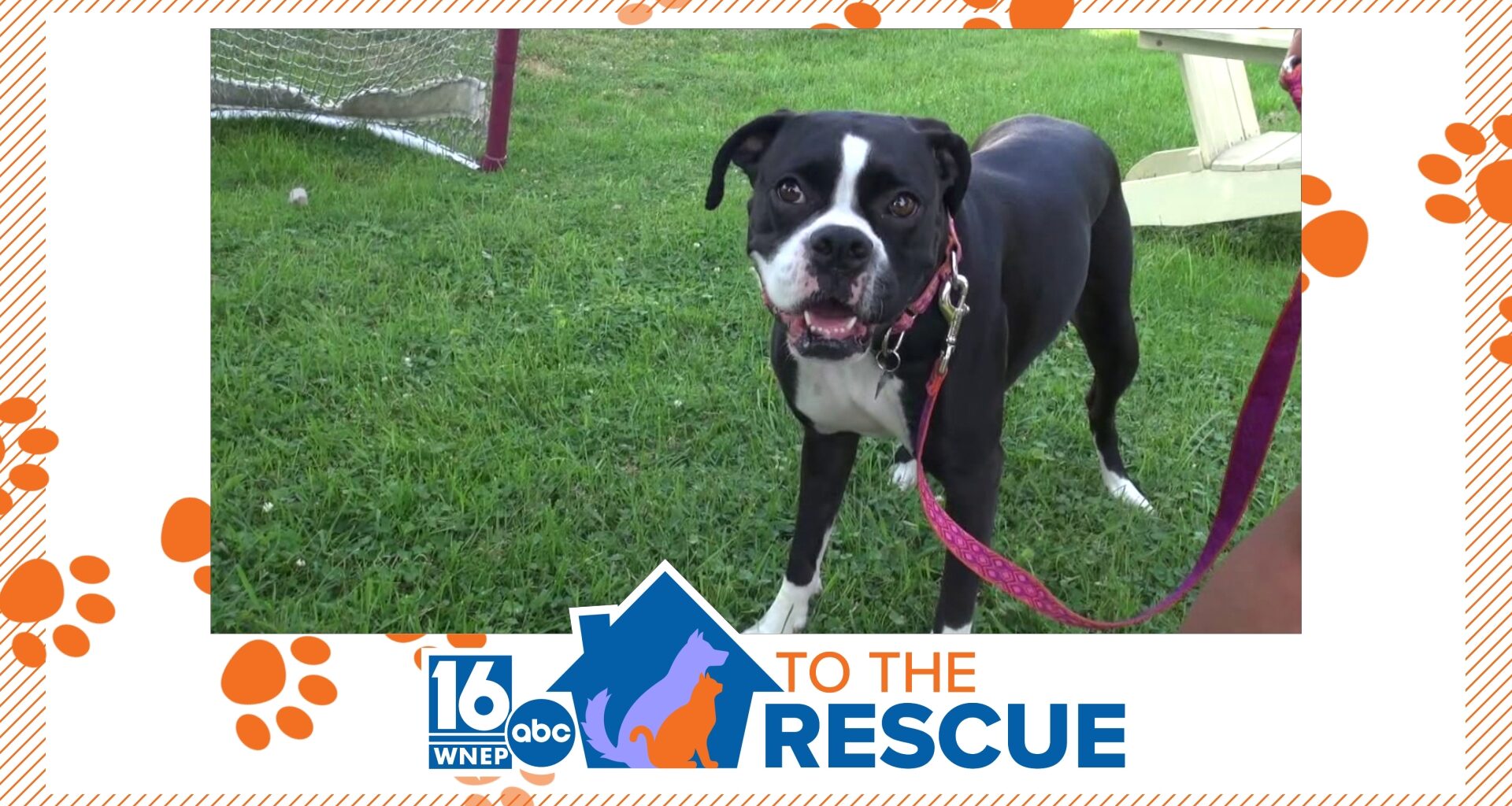 16 To The Rescue: Betty