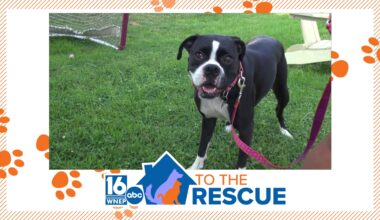16 To The Rescue: Betty