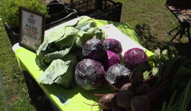 New farmers market opens in downtown Scranton