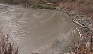 Roaring Brook restoration project includes handicap-accessible fishing pier, improved trails, and more