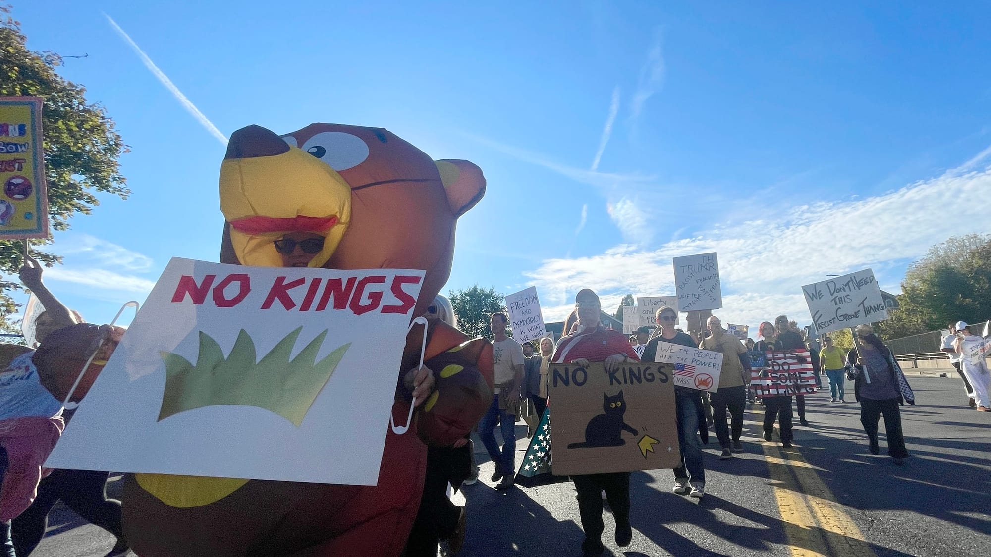 “No Kings” protesters in Bethlehem on Saturday, Oct. 18, 2025, filed into Rose Garden Park to share their disdain for Preside