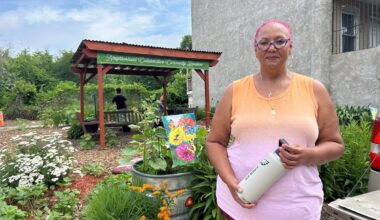 Camden heat: Keeping bus riders cool with shade, pollinator gardens