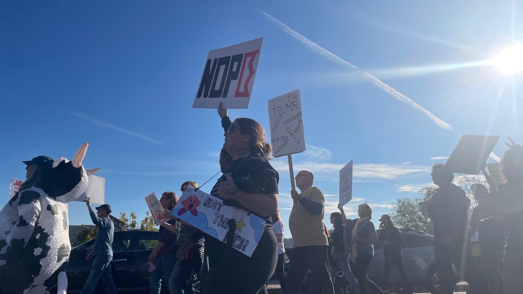 “No Kings” protesters in Bethlehem on Saturday, Oct. 18, 2025, filed into Rose Garden Park to share their disdain for Preside