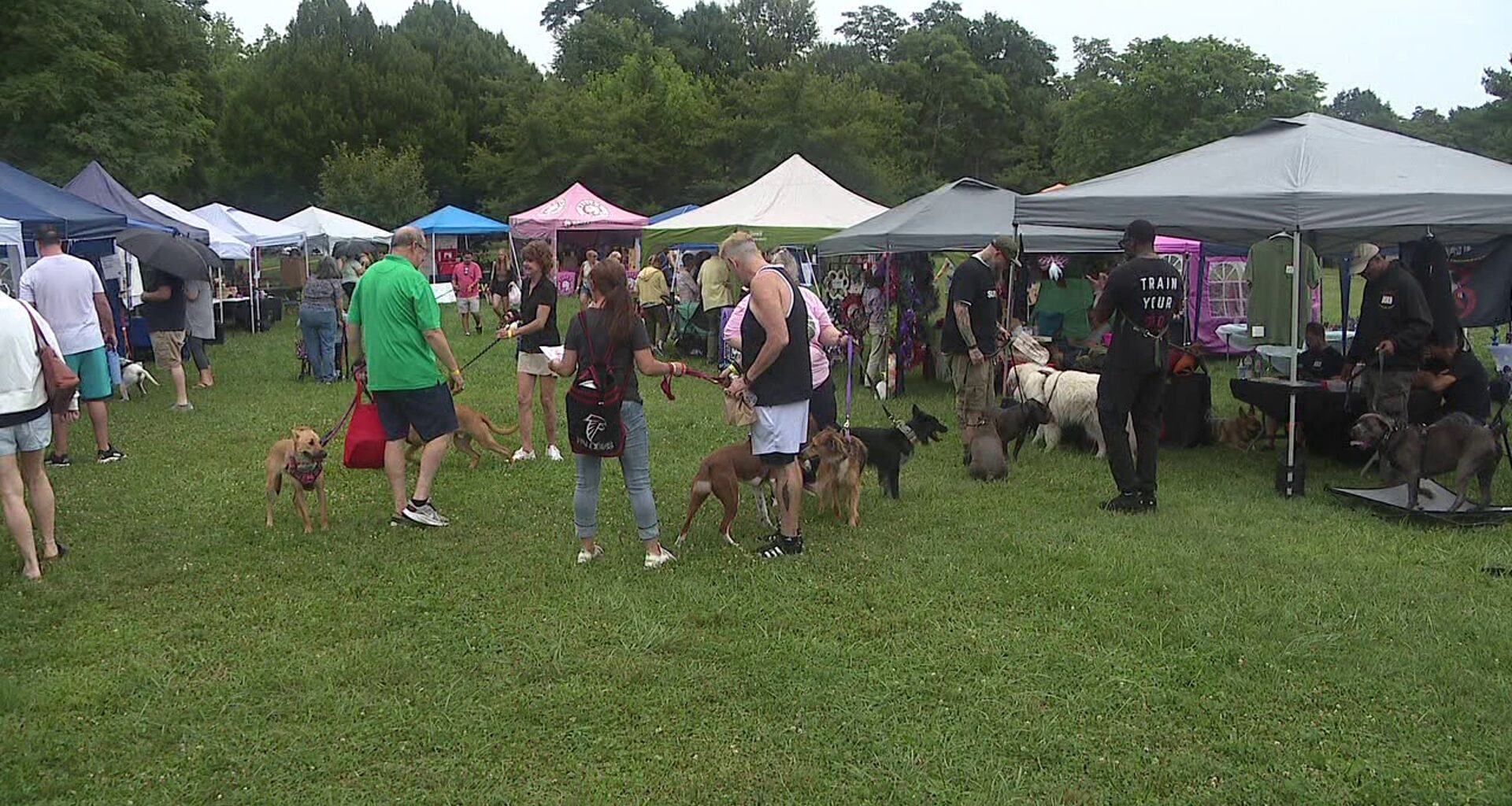 'Paws in the Park' brings dog lovers together for adoptions at McDade Park