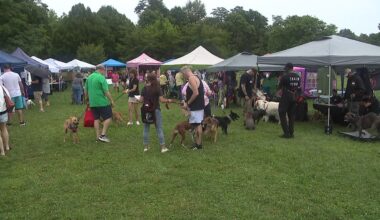 'Paws in the Park' brings dog lovers together for adoptions at McDade Park