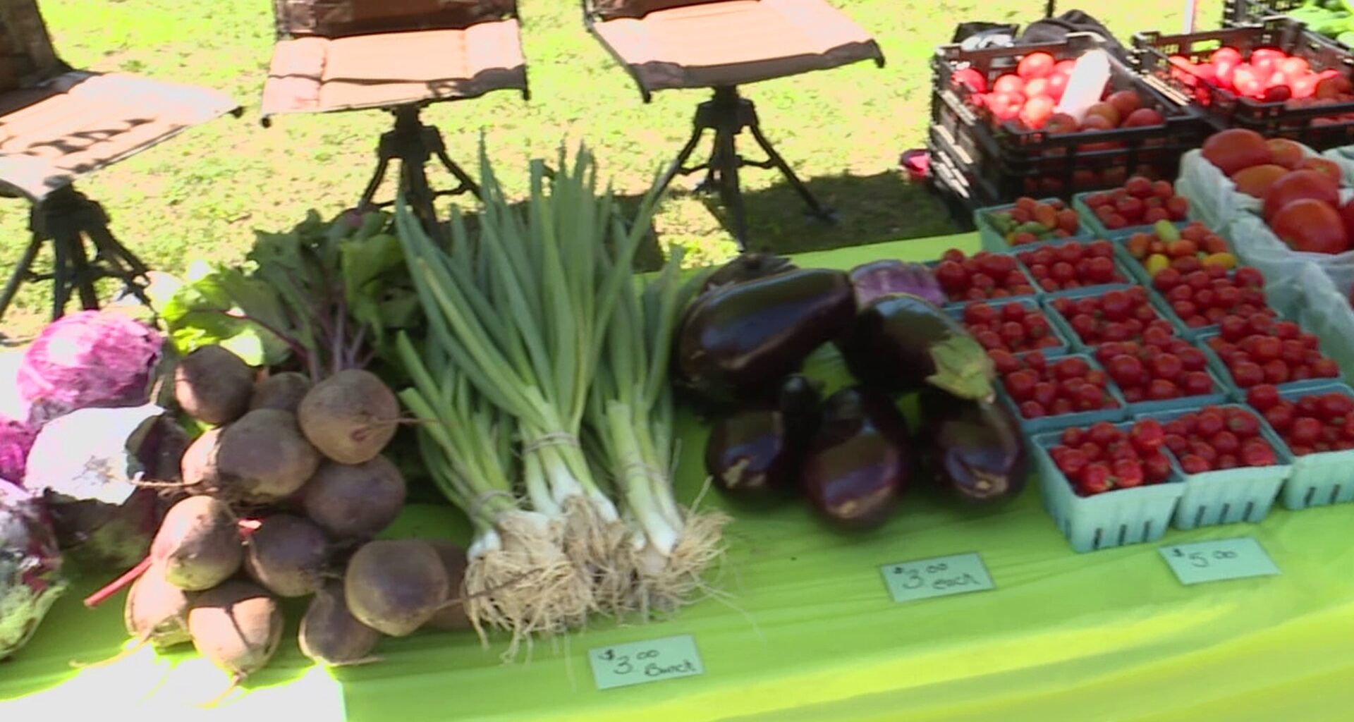 Electric City Farmers Market brings fresh, local produce to downtown Scranton