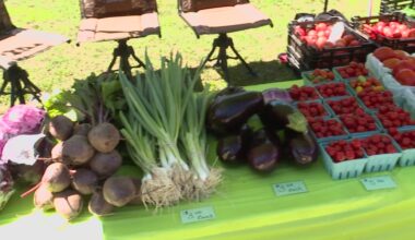 Electric City Farmers Market brings fresh, local produce to downtown Scranton