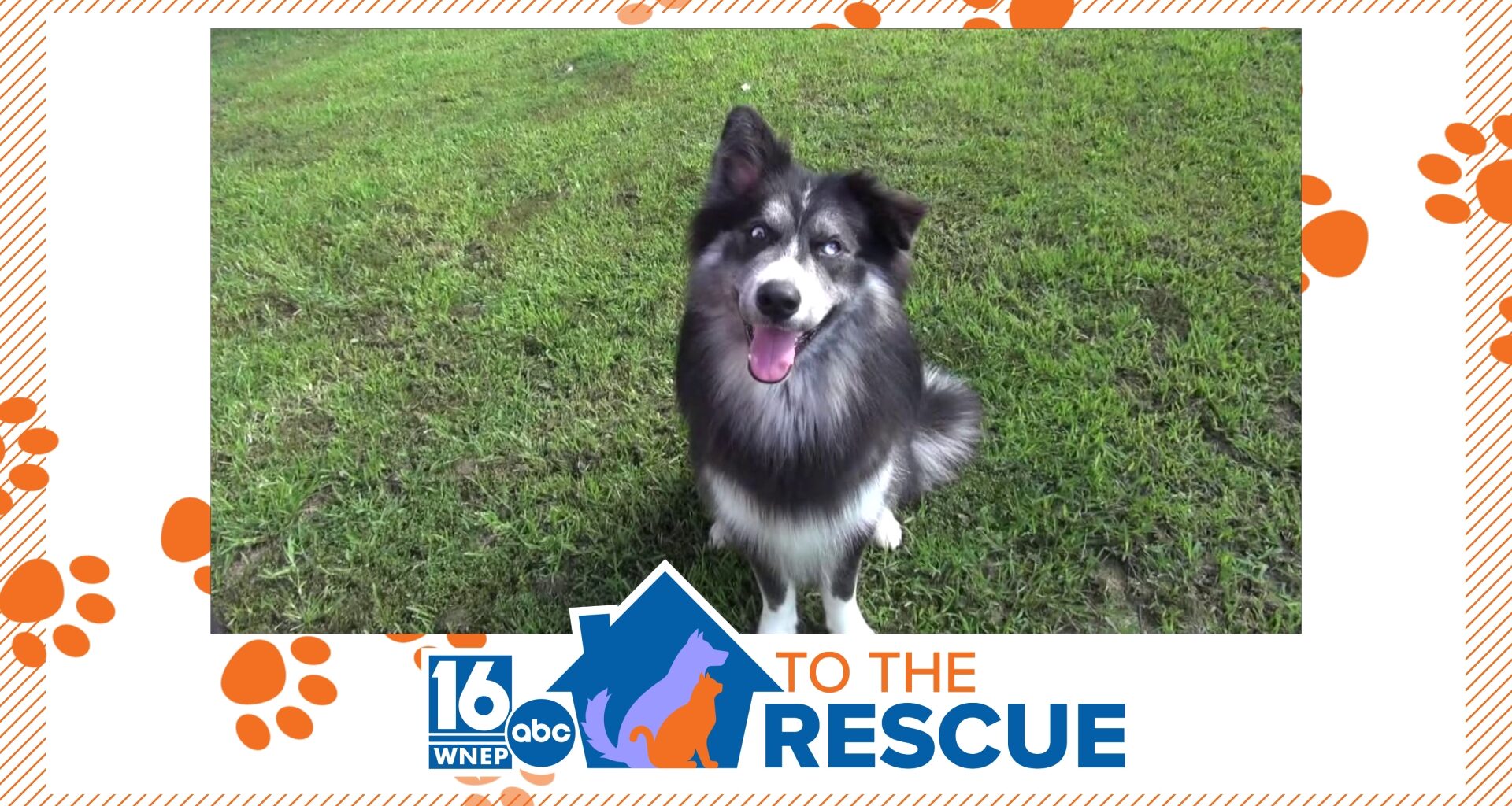 16 To The Rescue: Camilo