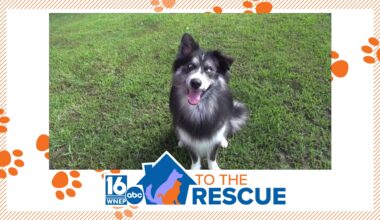 16 To The Rescue: Camilo