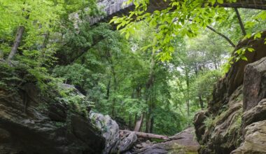 Online petition pushes police, Parks and Rec Department to crack down on illegal parties at Devil’s Pool