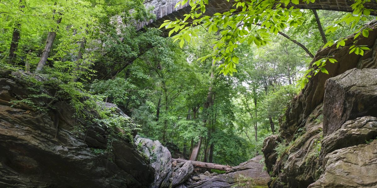 Online petition pushes police, Parks and Rec Department to crack down on illegal parties at Devil’s Pool