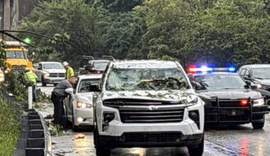 Tree crashes onto car on Parkway East near Wilkinsburg