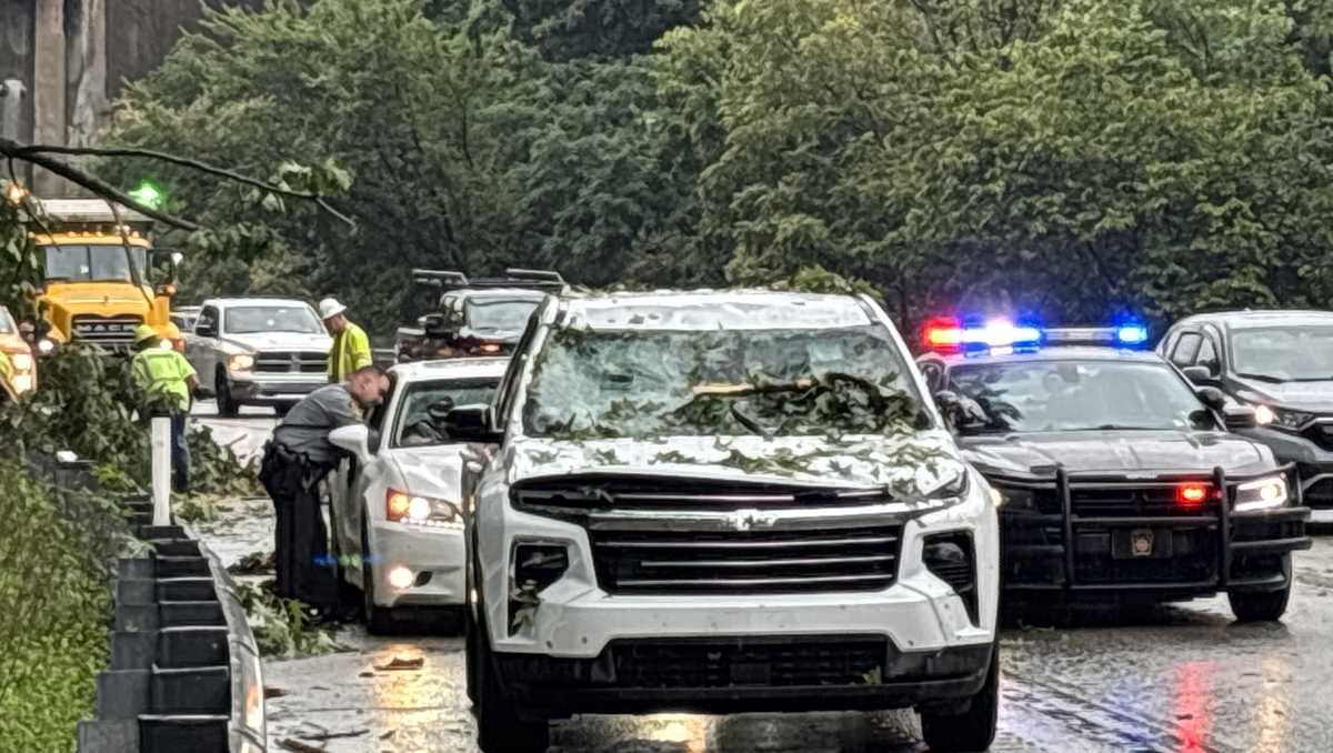 Tree crashes onto car on Parkway East near Wilkinsburg