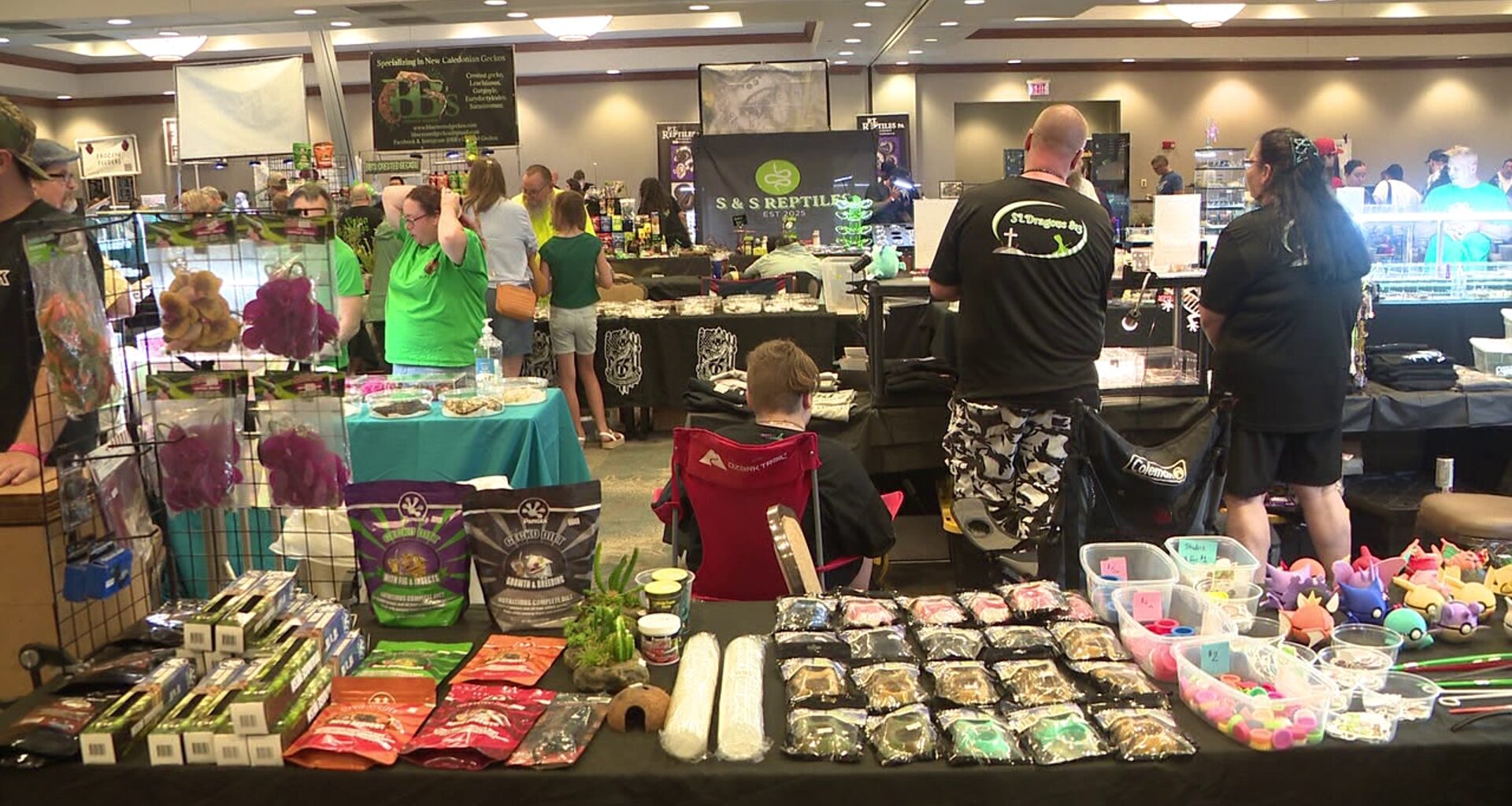 Reptile enthusiasts slither to Scranton's 11th annual Electric City Reptile Expo