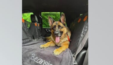 Pittsburgh-area family warns pet owners after beloved dog dies from rare fungal infection