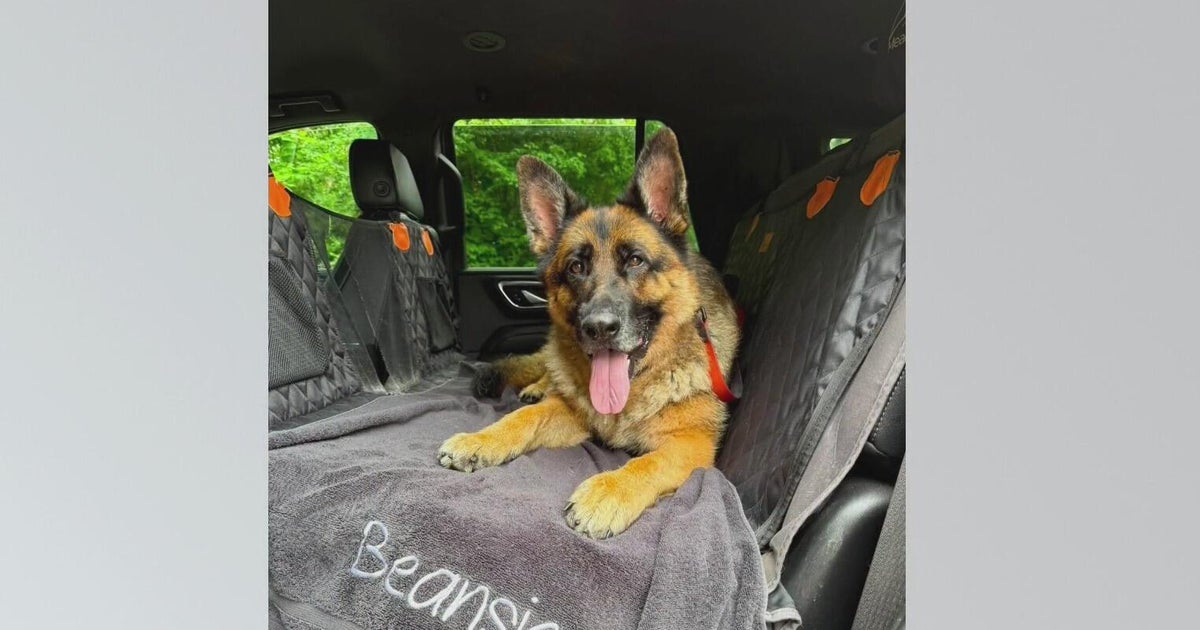 Pittsburgh-area family warns pet owners after beloved dog dies from rare fungal infection