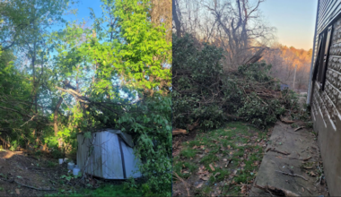 Penn Hills homeowner frustrated by falling trees from school district property