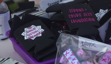 Lackawanna County softball tournament raises funds for cancer support