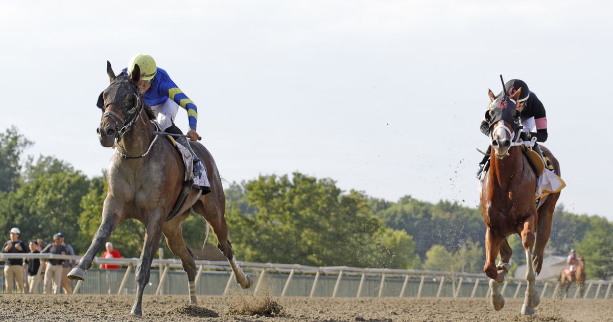 Once an $8,000 claim, Micanopy set for Pennsylvania Derby after Smarty Jones win