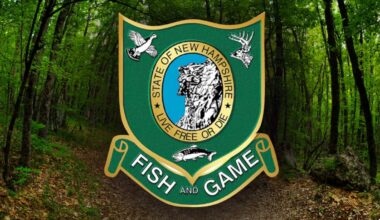 Hiker dies on Mt. Hale Brook trail in Bethlehem, New Hampshire