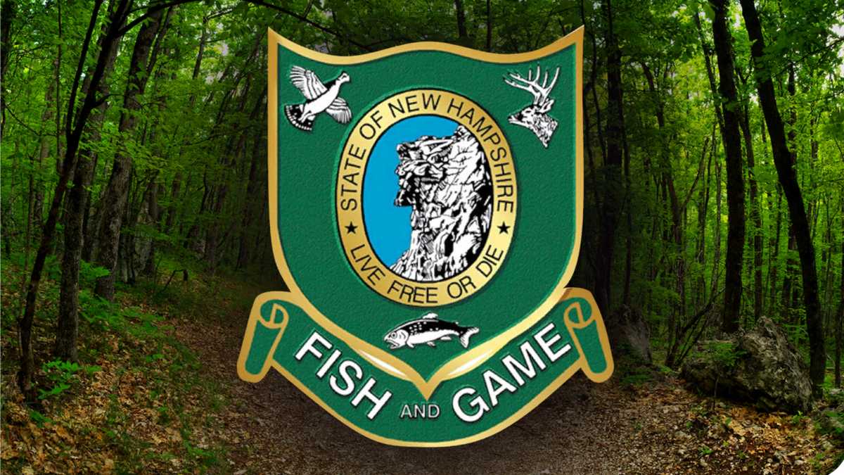 Hiker dies on Mt. Hale Brook trail in Bethlehem, New Hampshire