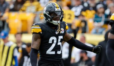 Pittsburgh Steelers place veteran defender on IR