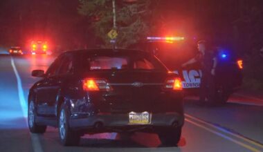 Police find driver involved in deadly hit-and-run crash in Kennedy Township
