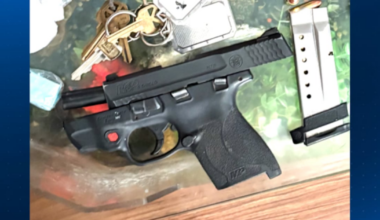 Drugs, stolen gun found in Penn Hills home after arrest of wanted Pittsburgh man