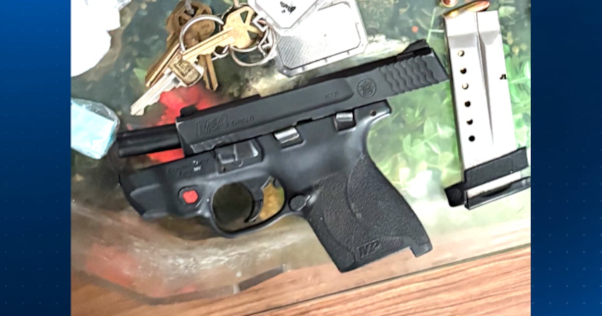 Drugs, stolen gun found in Penn Hills home after arrest of wanted Pittsburgh man