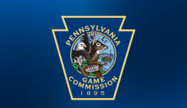 Pennsylvania Game Commission ending Deputy Game Warden Program with law enforcement – WPXI