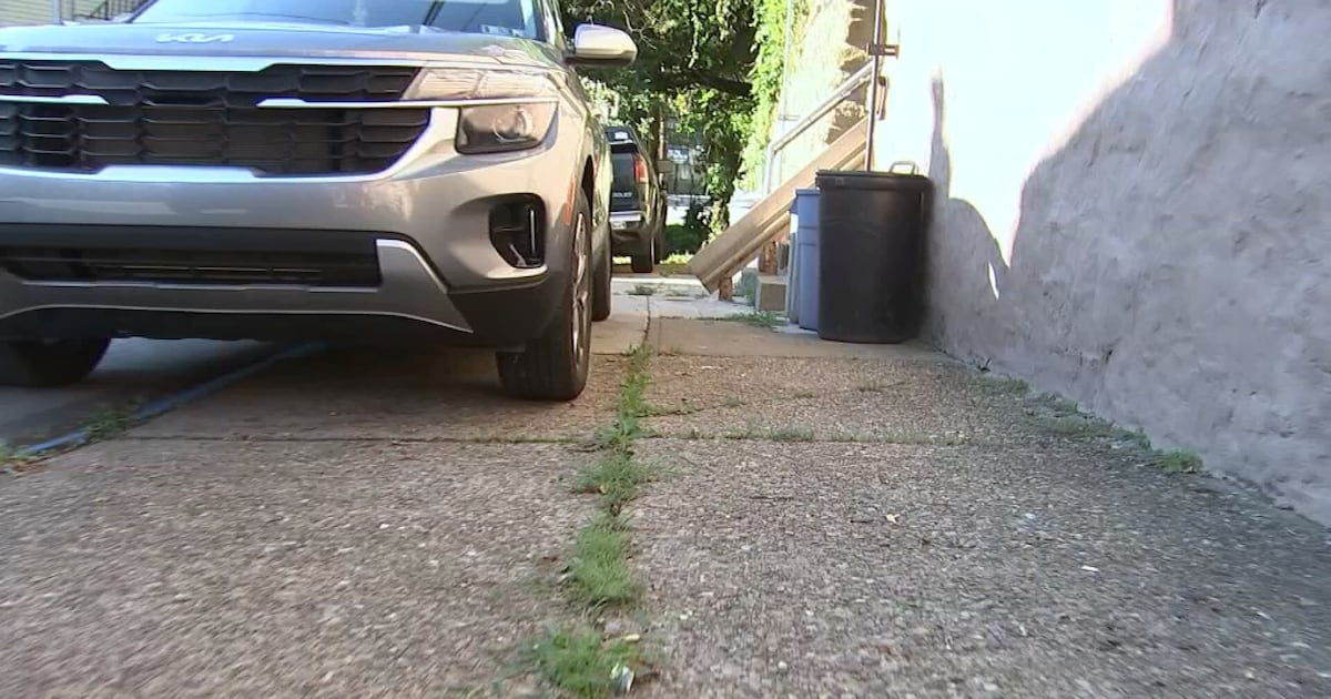 Pittsburgh City Council strengthens enforcement against vehicles parked on sidewalks – WPXI