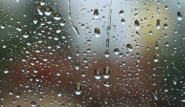 Pittsburgh Weather: Waves of showers, storms continues most of the week