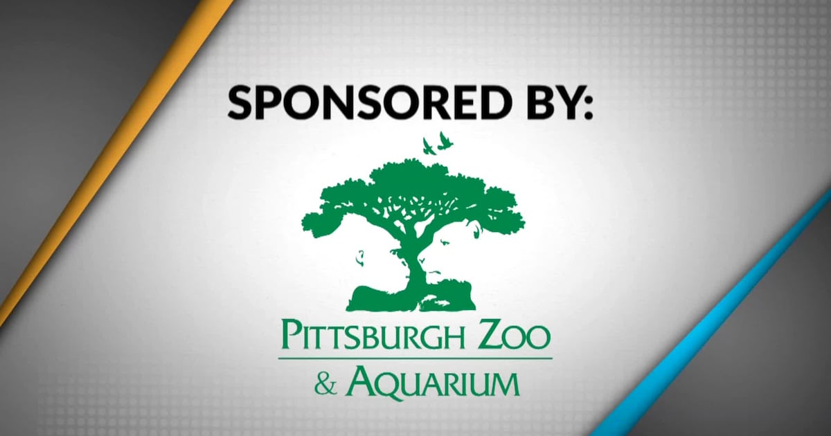 Take 5 - Pittsburgh Zoo & Aquarium – WPXI