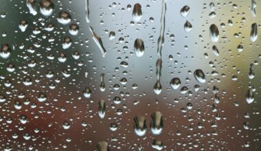 Pittsburgh Weather: Pittsburgh area will see more dry hours on Thursday, but storms are still possib
