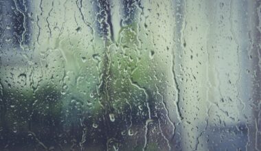 Showers today, mainly south of Pittsburgh (8/14/26) – WPXI