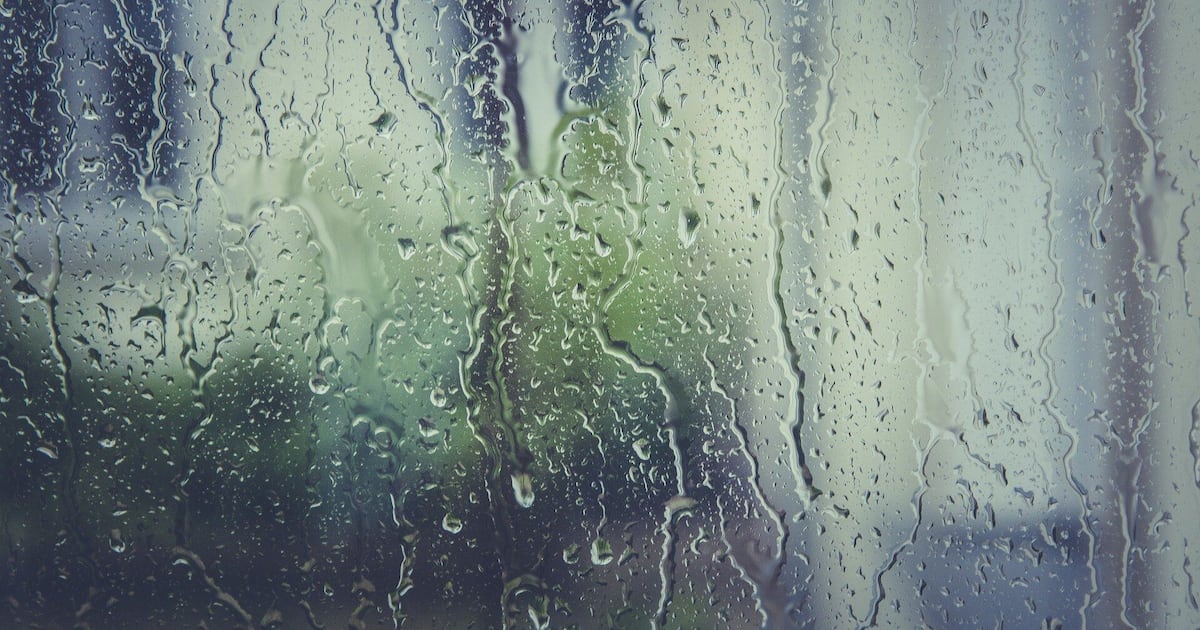 Showers today, mainly south of Pittsburgh (8/14/26) – WPXI