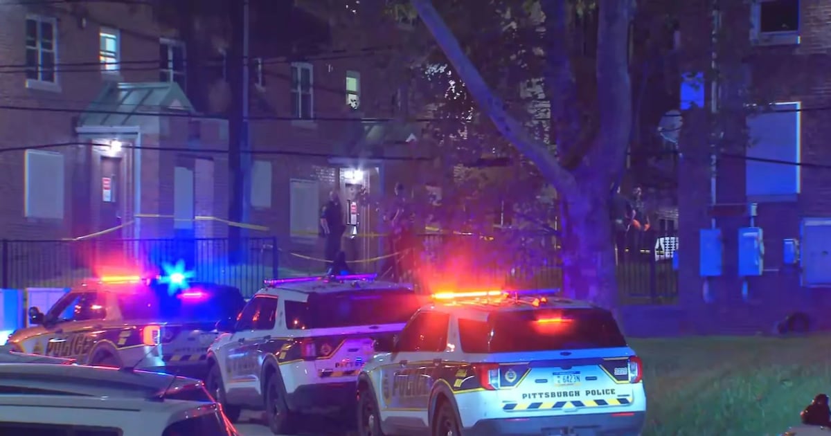 Woman shot, killed in Pittsburgh’s Bedford Dwellings – WPXI