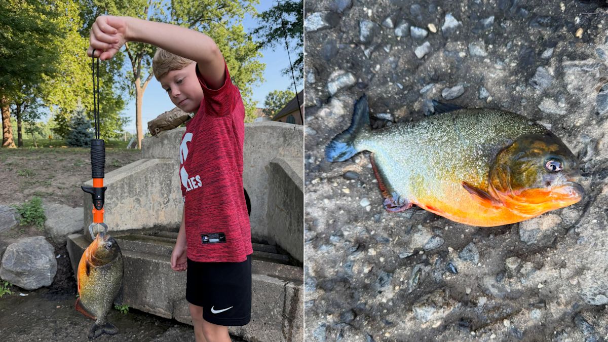 8-Year-Old Boy is Surprised to Catch a Piranha in Pennsylvania Lake