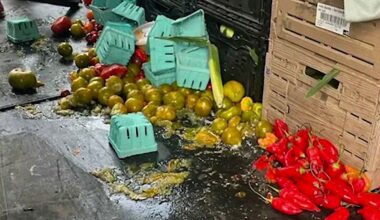 Pennsylvania community raises thousands for small farm after carjacking left thousands in produce losses