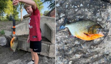 8-Year-Old Boy Pulls Piranha from Pennsylvania Lake, Recognizes Fish from YouTube
