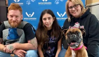 Wisconsin dog missing for 2 years reunites with Pennsylvania family after beach find