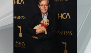 Dogs coming to Pennsylvania from overcrowded California shelters after a red carpet appearance