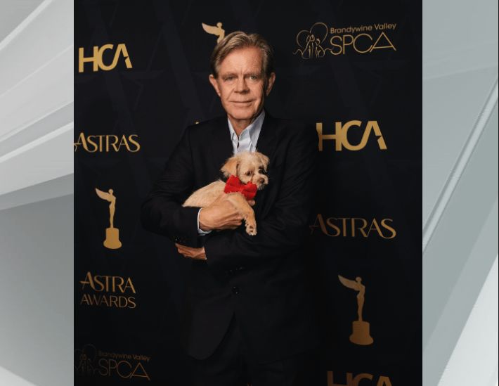 Dogs coming to Pennsylvania from overcrowded California shelters after a red carpet appearance