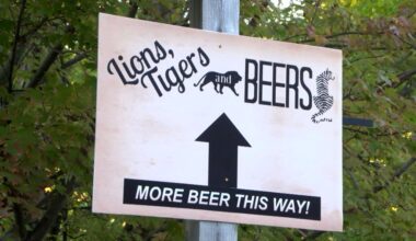 Erie Zoo announces details for Lions, Tigers, & Beers