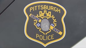 Man arrested, accused of assaulting multiple people Downtown Pittsburgh crime spree