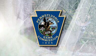 PA Wildlife Action Plan lists over 800 species as requiring special attention