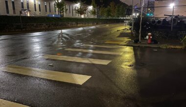 Woman dies after being shot in the face in Pittsburgh's Strip District