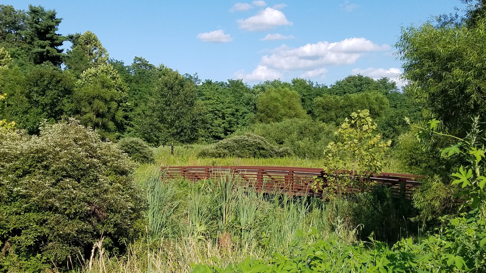 Pennsylvania's Lesser-Known Nature Retreat About An Hour From Philly Is Full Of Fairytale Woodland Trails