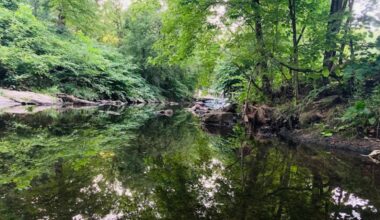 Near Philly Is Pennsylvania's Vibrant Township With Historic Streets, Global Eats, And Cultural Community